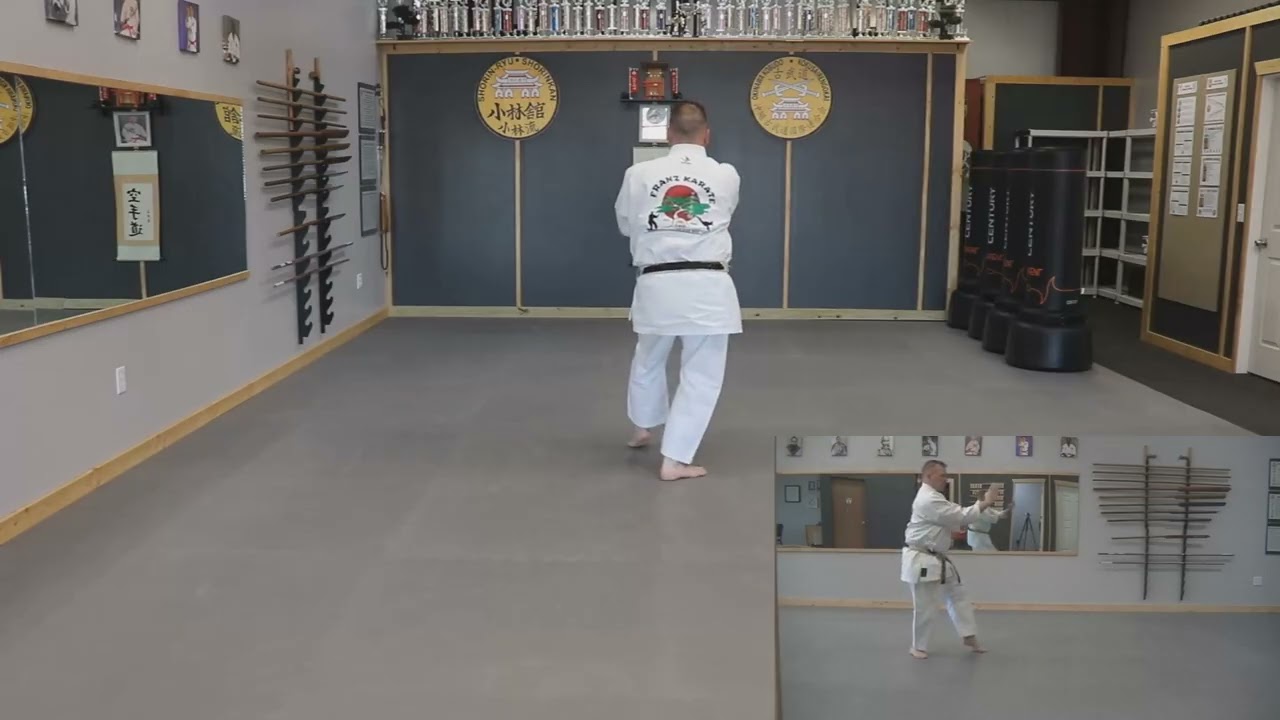 Gojushiho Kata Split View