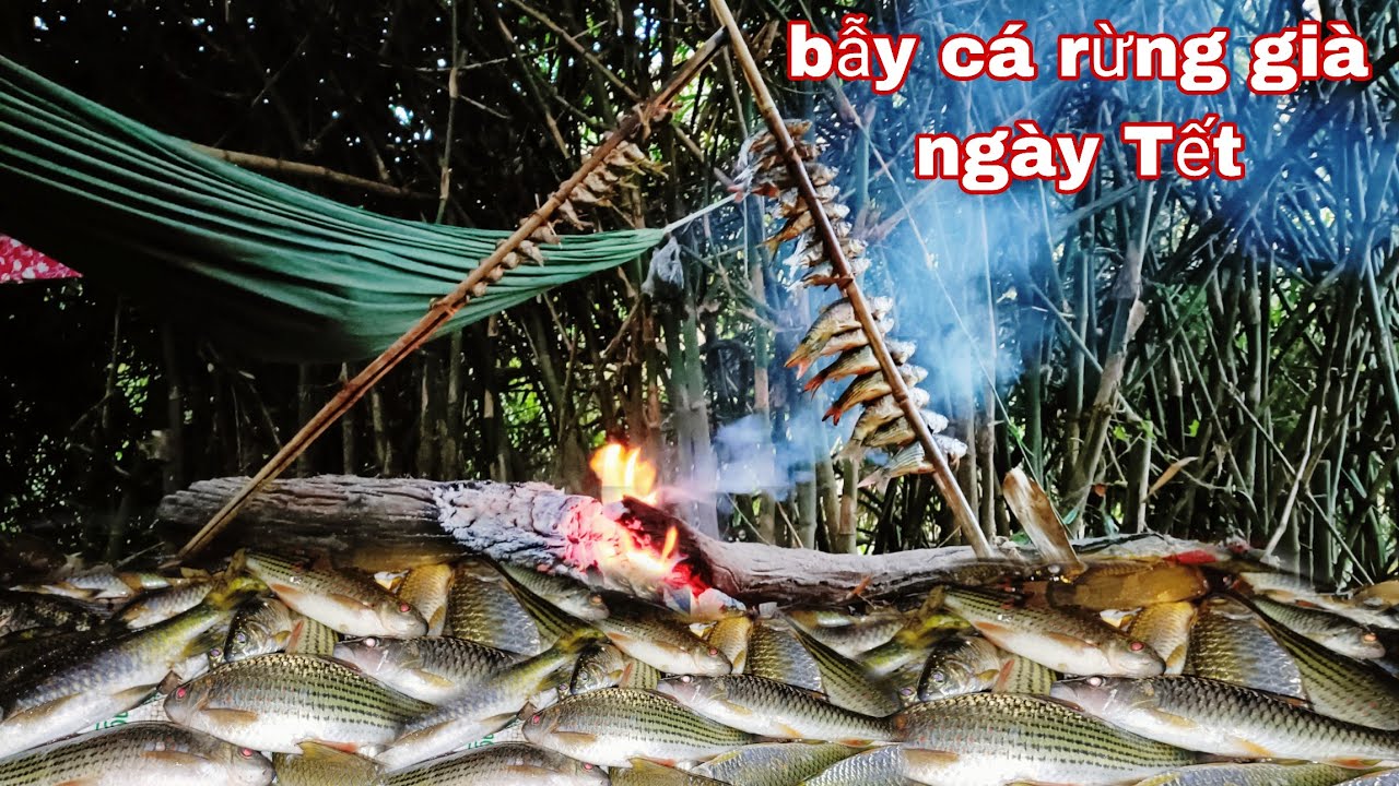 trải nghiệm trong rừng, bẫy cá được nhiều ngày tết, ngủ rừng 1 mình, phúc làng tv