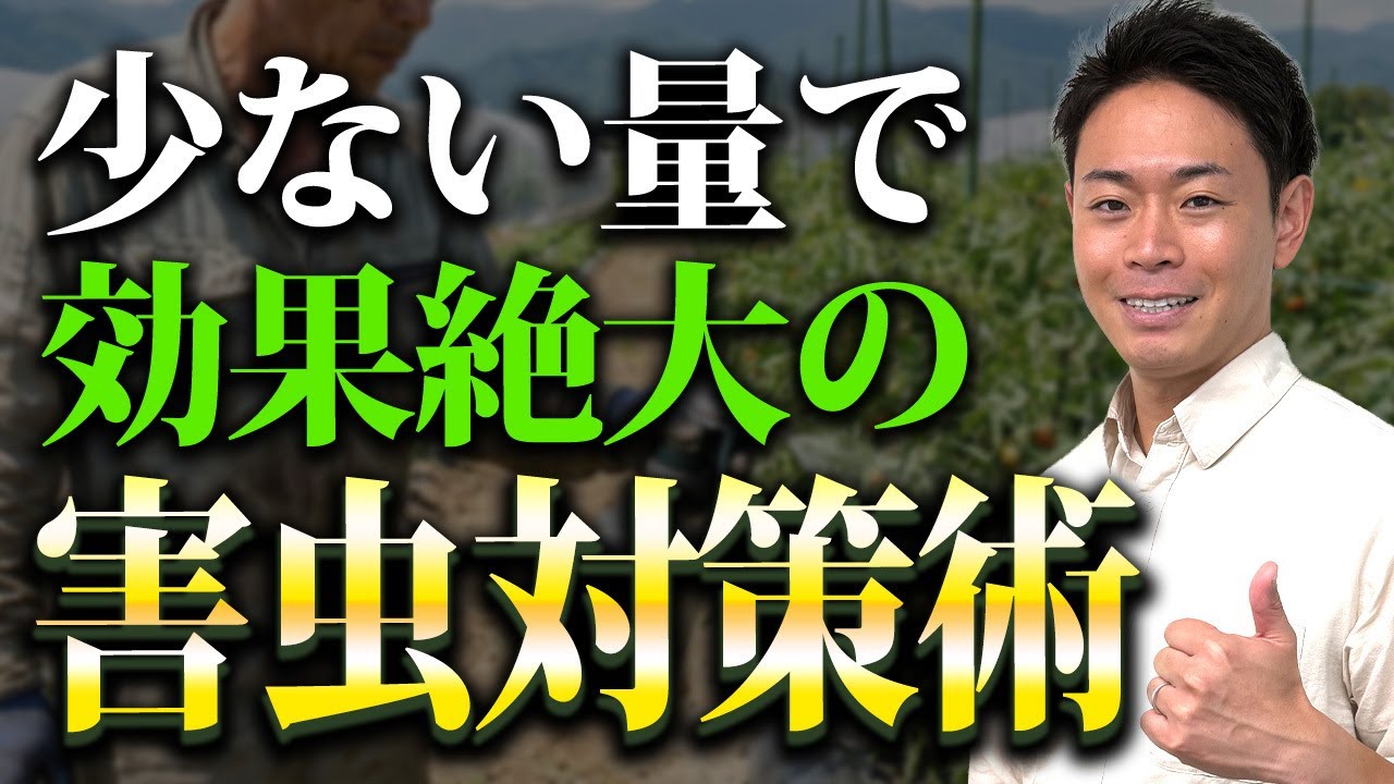 極力農薬を抑えたいなら◯◯を合わせて使って殺虫効果を最大化しよう！【家庭菜園 土づくり ガーデニング 農薬】