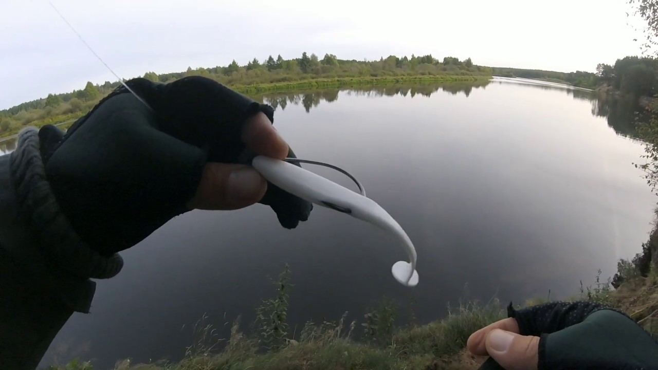 Два дня ловли щуки на р. Неман осень 2019 силикон Jackall daiwa