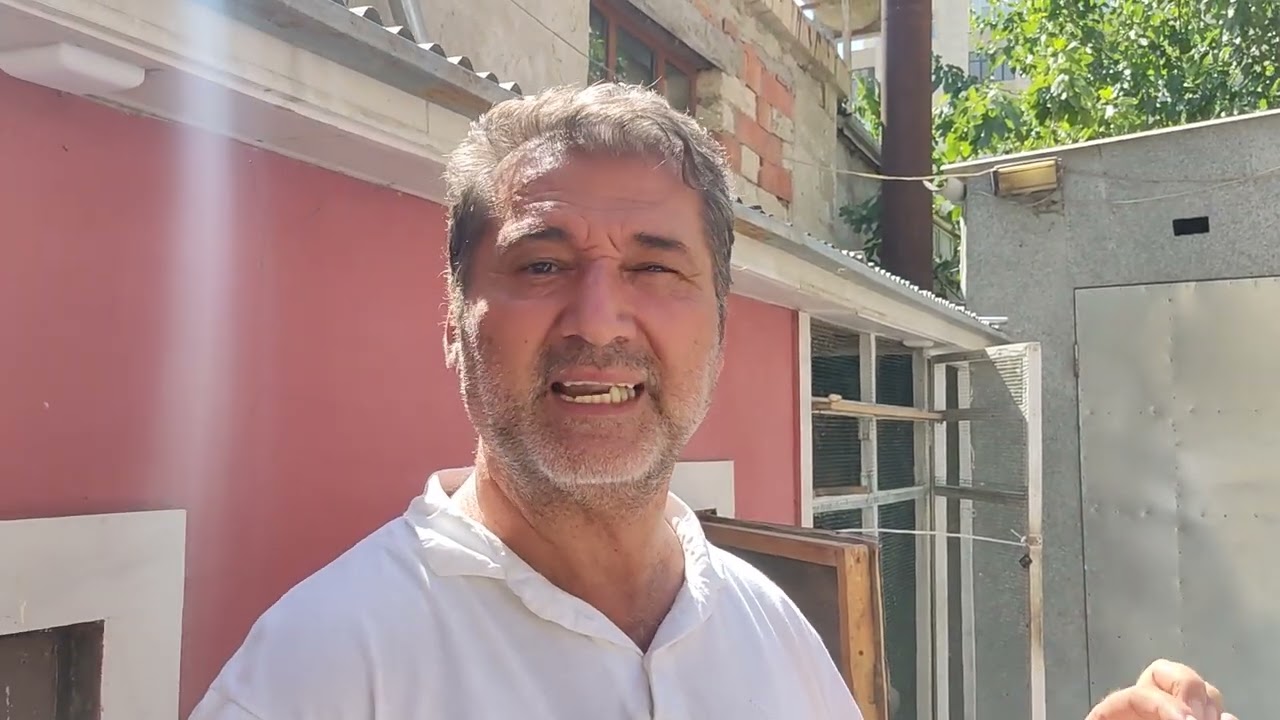 Azərbaycan Göyərçinlər Fedarasiyası 2023 çu il iştirakçı Şahin Hüseynovla yarış öncəsi müşahidə.