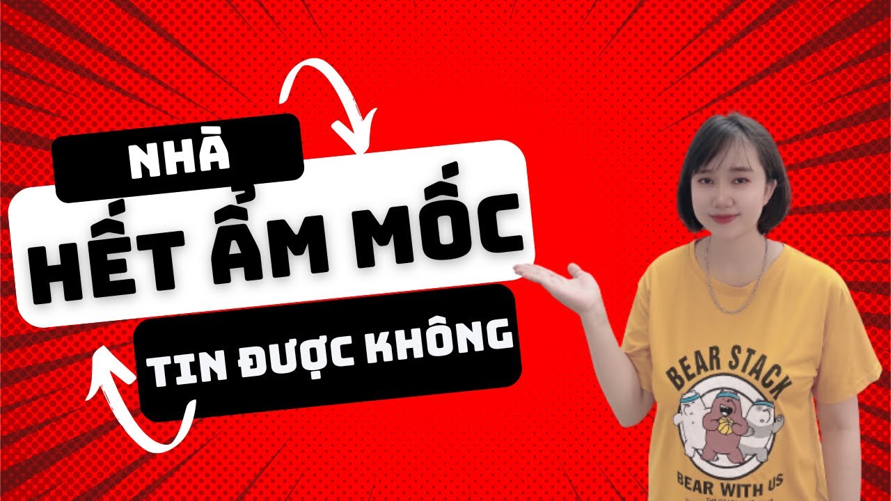 Bạn có muốn tường nhà bạn hết ẩm mốc không ?