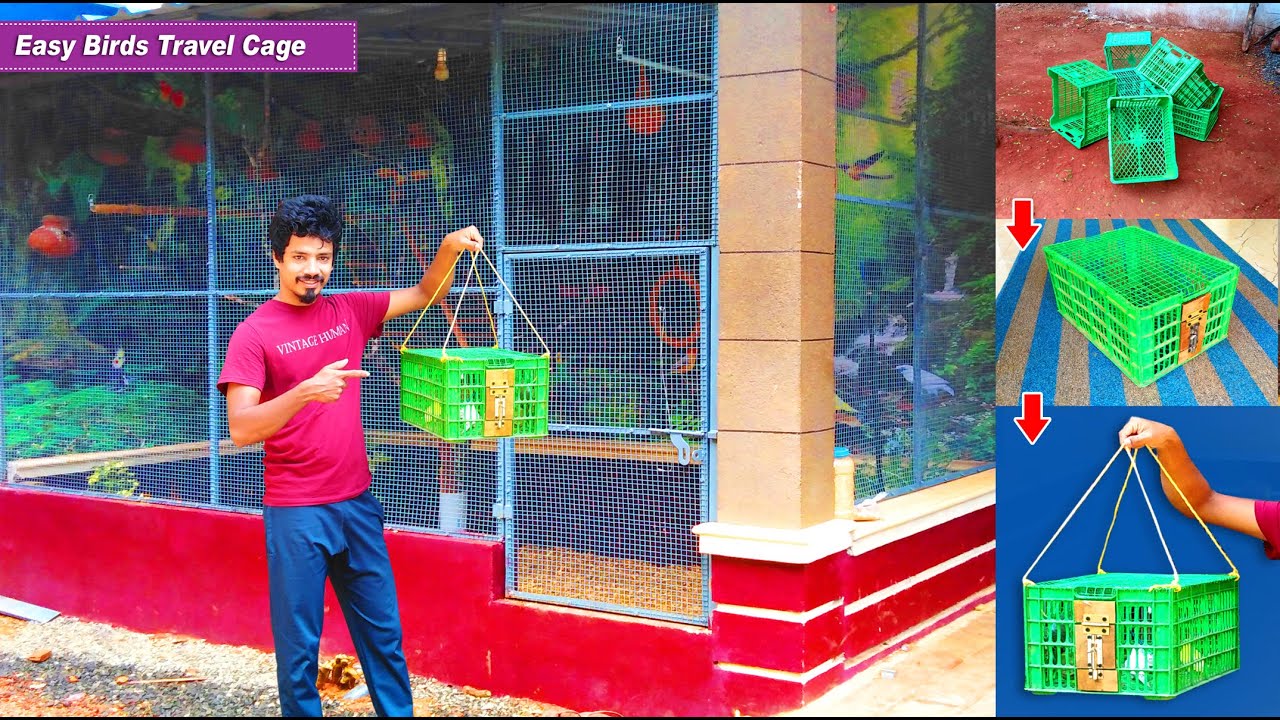 Easy Way To Make Travel Birds Cage Using Apple Box | DIY Birds Cage idea