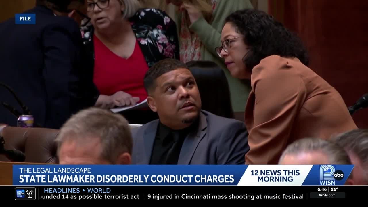The Legal Landscape: Lawmaker Disorderly Conduct Charges