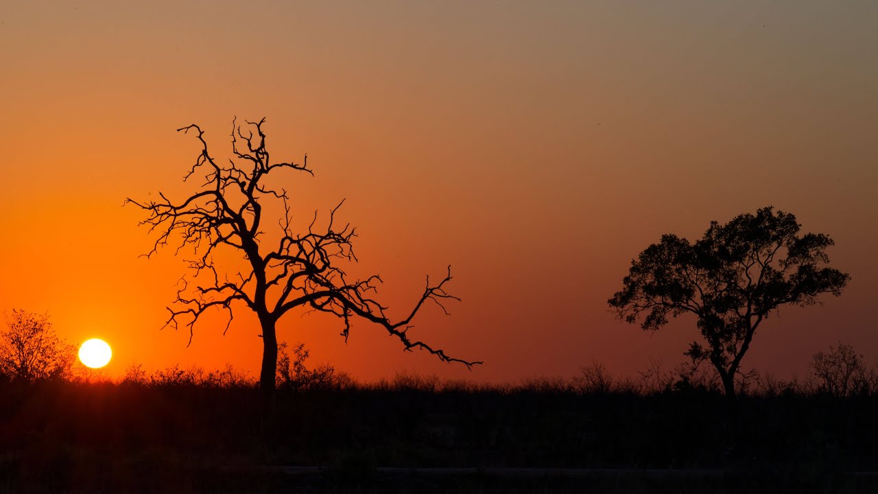Trockenzeit im Krüger Nationalpark - Dry Season in the Kruger National Park