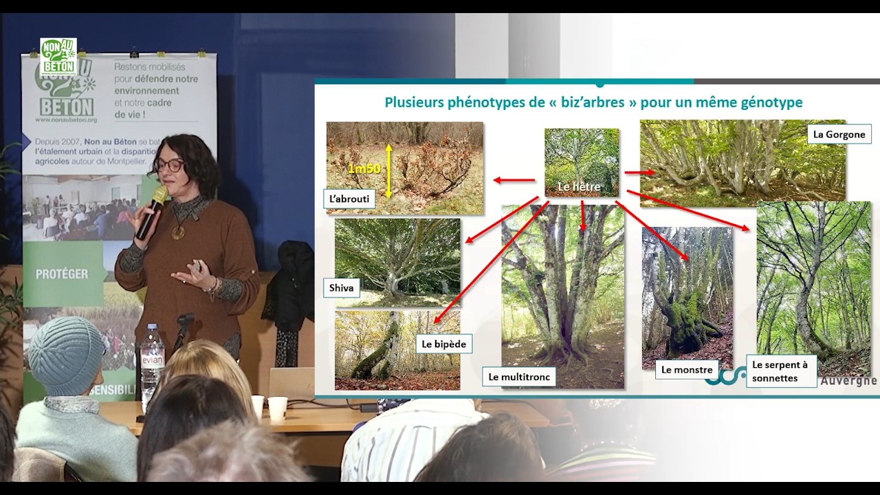 Conférence de Catherine Lenne le 15 Janvier 2026