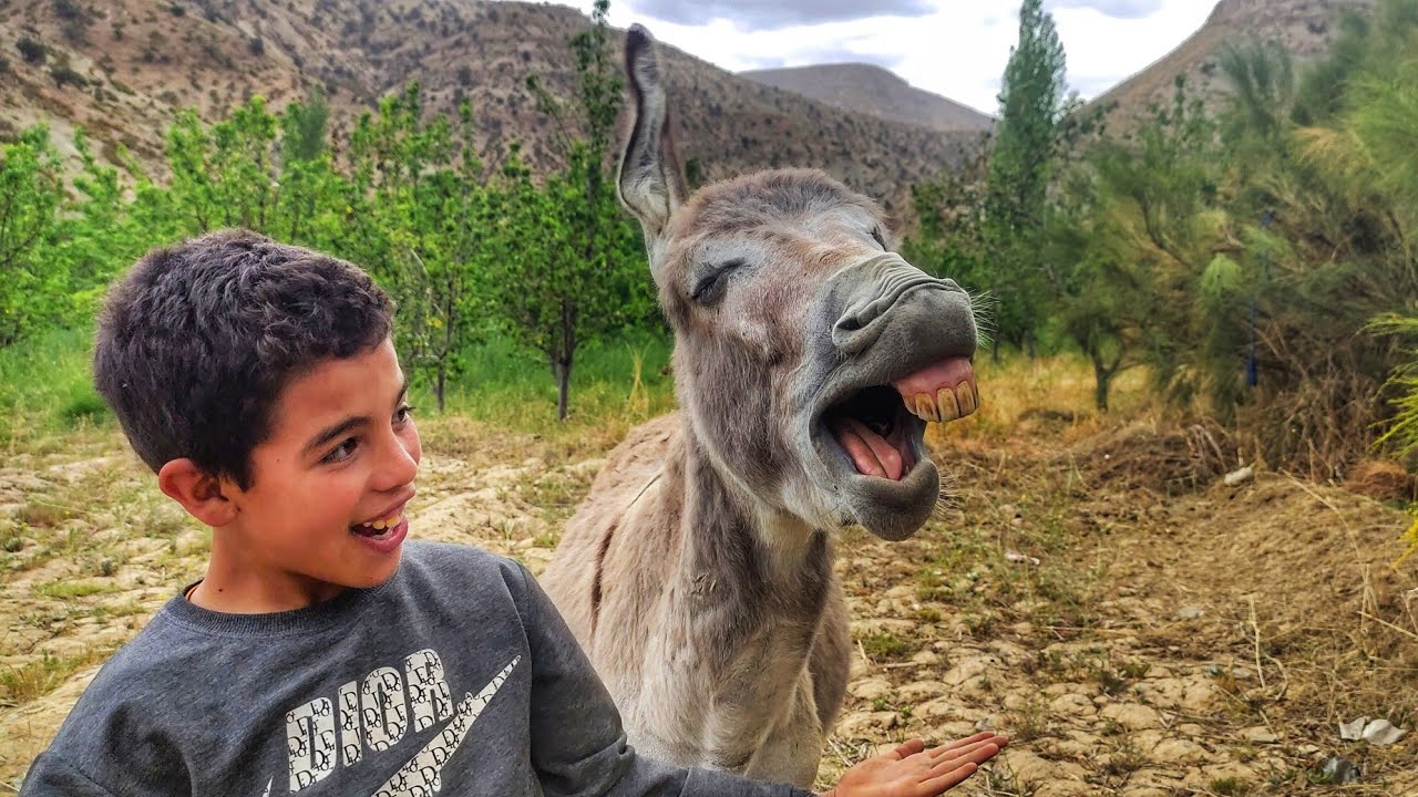 #VLOG15 | ضايفني أحد المتابعين أنا و خوان🤠 عنده في مقهى قديم من الزمن الجميل 🐴 #donkey #trip