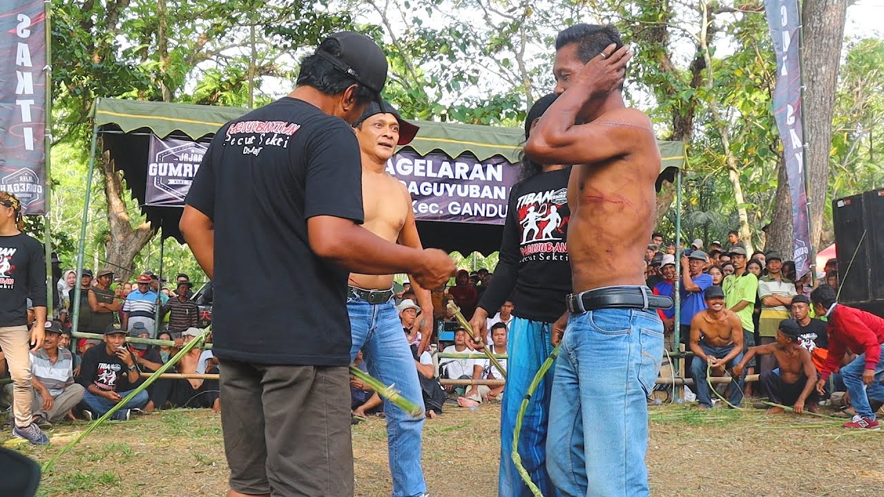 Sabetan pecut sakti SENI TIBAN beberapa istri jawara menjerit