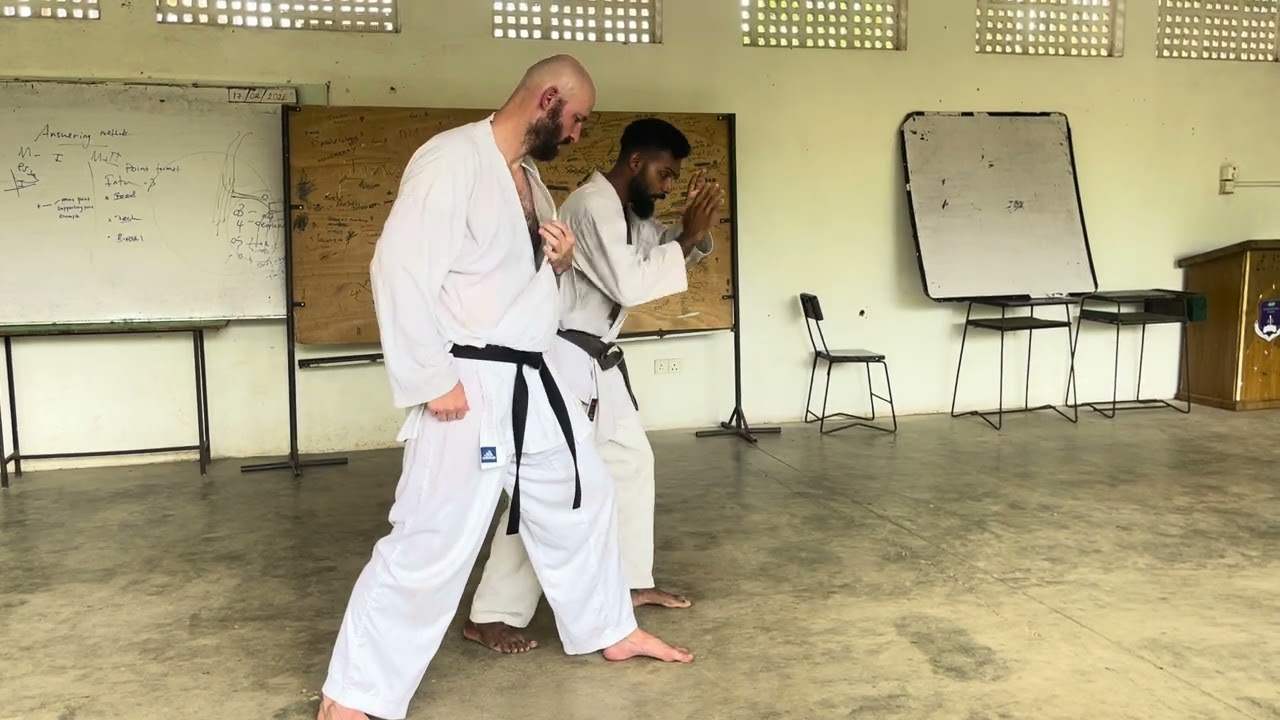 Kihon techniques #karatelife #karate1 #karatekata #taekwondo #martialarts #mawashigeri