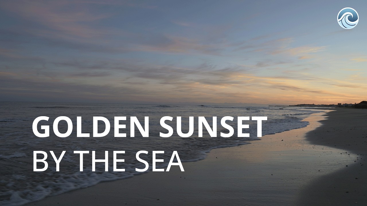 Golden Sunset by the Sea 🌊 | 8 Hours of Calm Ocean Waves for Sleep & Relaxation