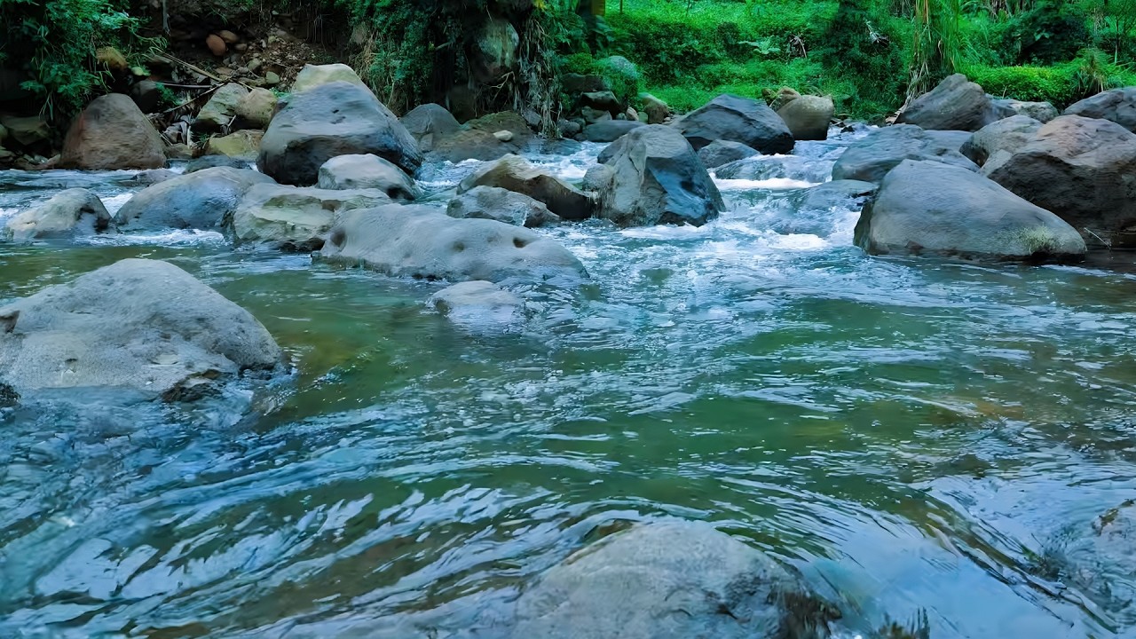 Pure ASMR River Stream with Quiet Birds for Deep Sleep and Insomnia | Relaxation | Focus