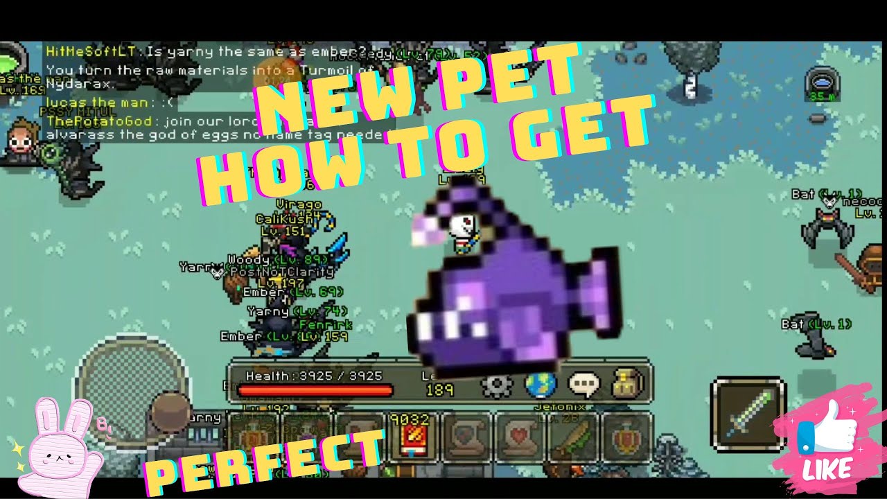 Curse Of Aros || Trick Dan Cara Mendapatkan Pet Chompy