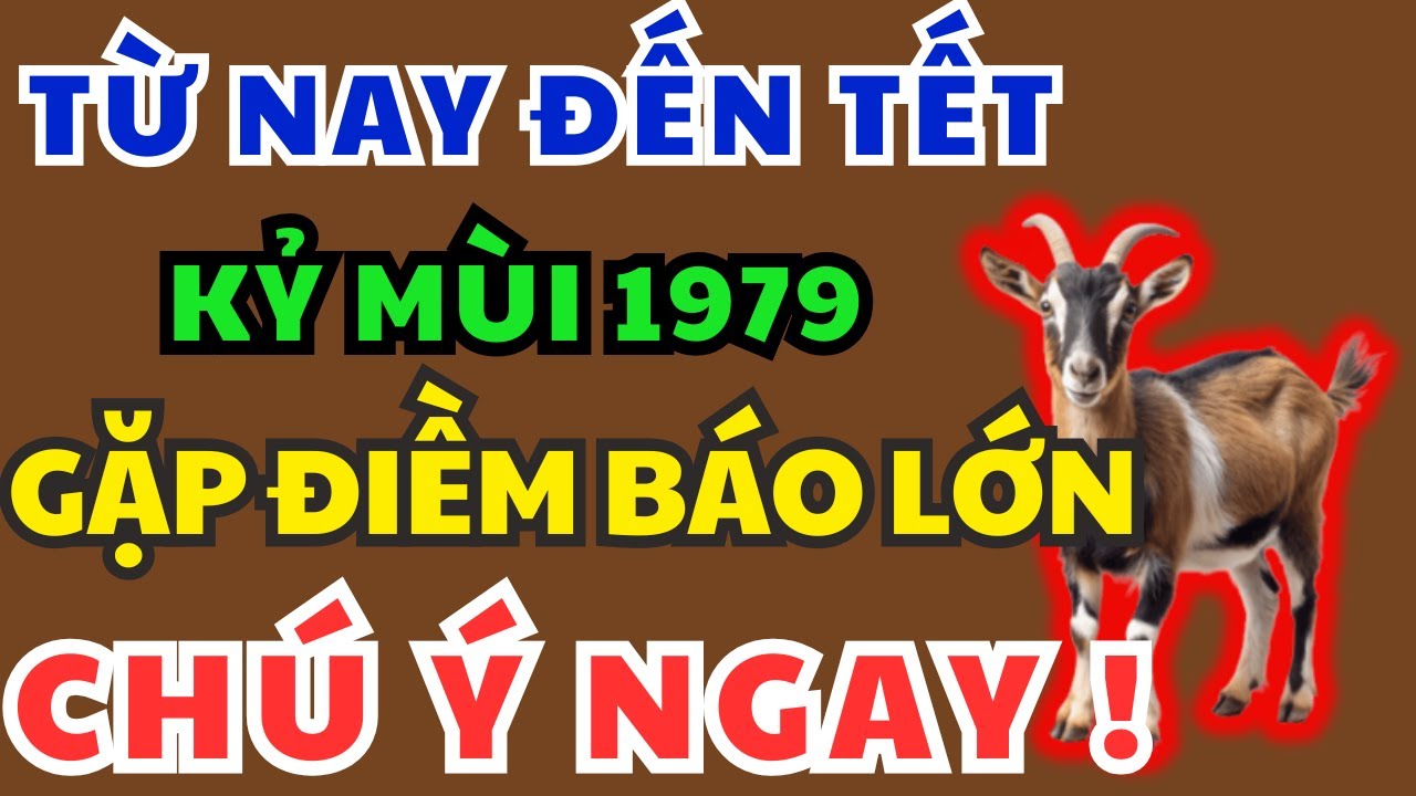 Giật Mình Tuổi Kỷ Mùi 1979 từ nay đến Tết Âm Lịch, Xuất Hiện 8 Điềm Báo Lớn! Kiểu gì Cũng Xảy Ra!