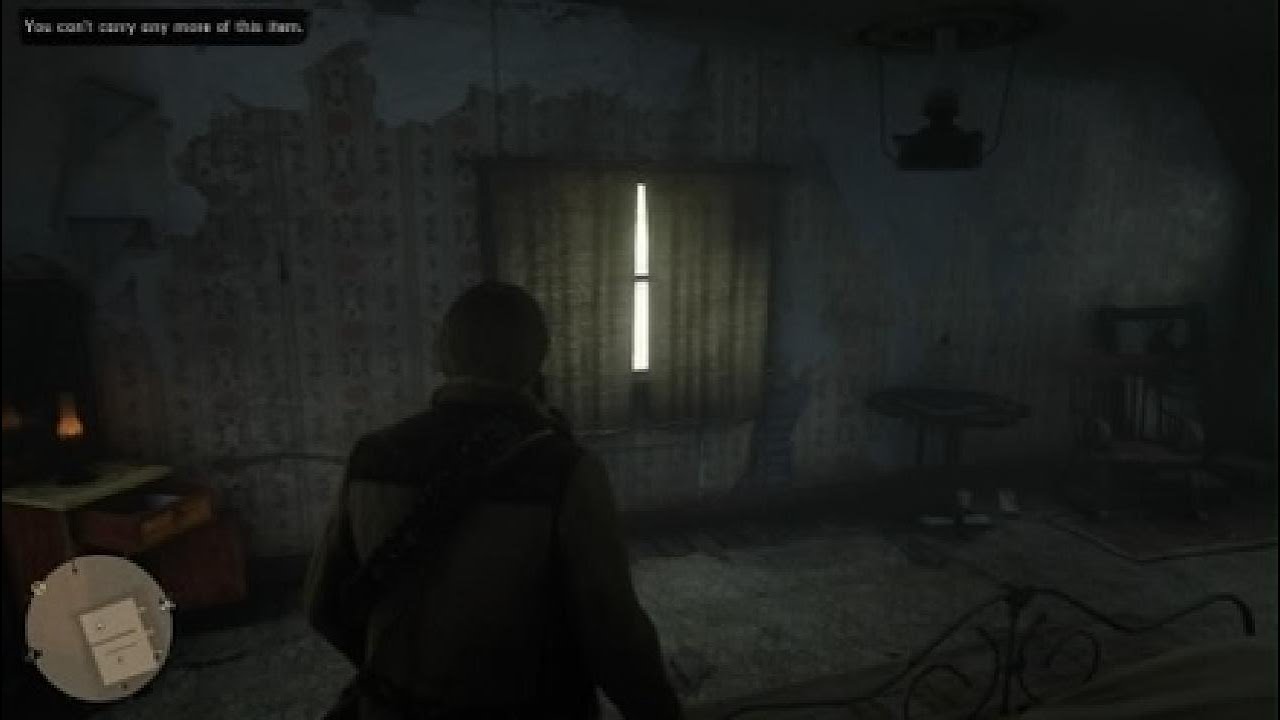 Red Dead Redemption 2_20260111173519
