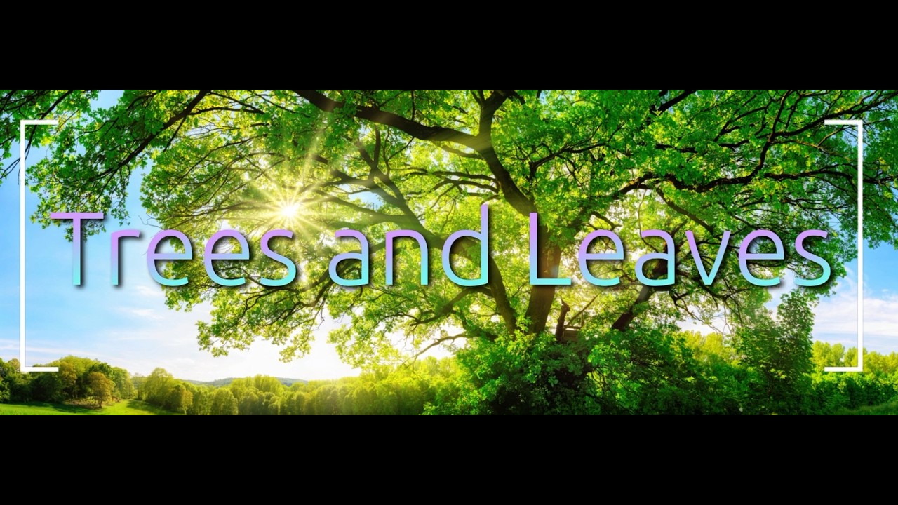 Trees and Leaves