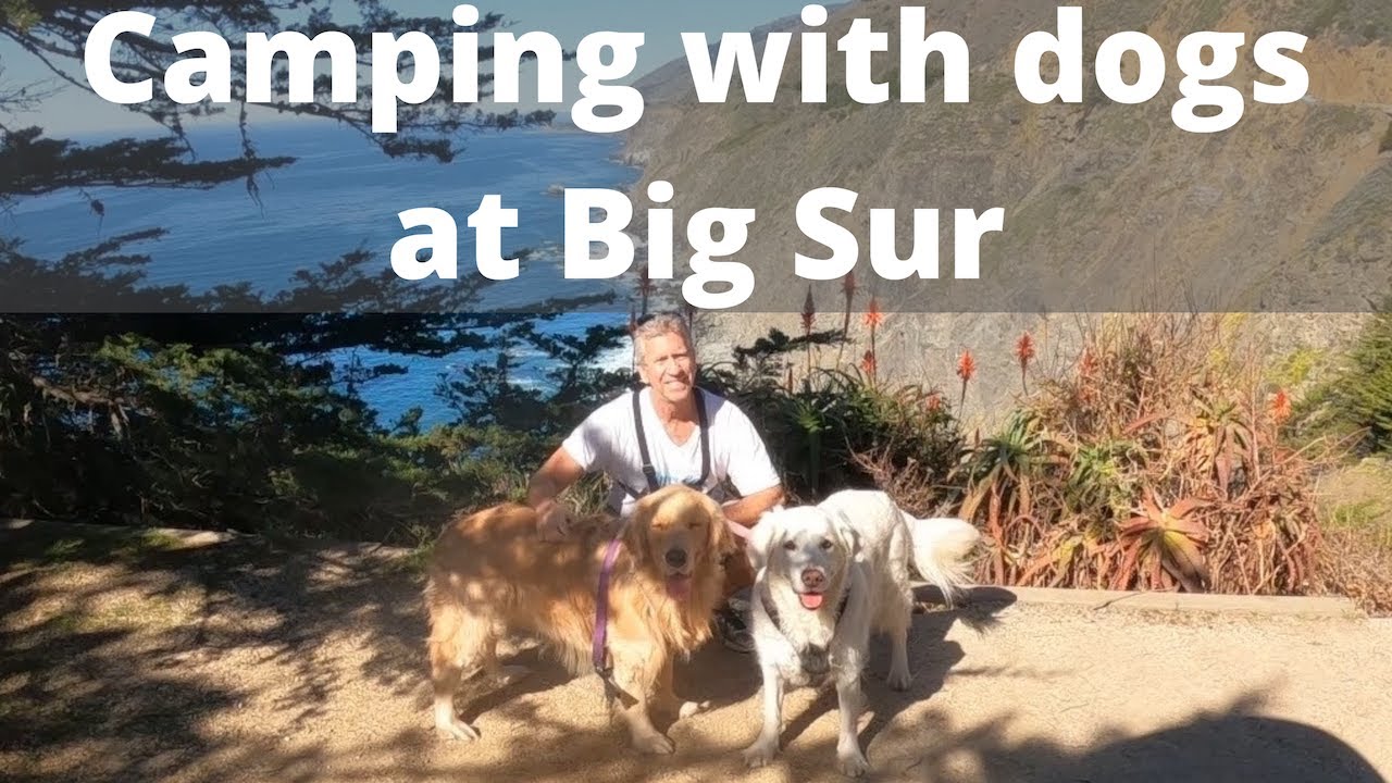 Camping in Dog Friendly Big Sur, California