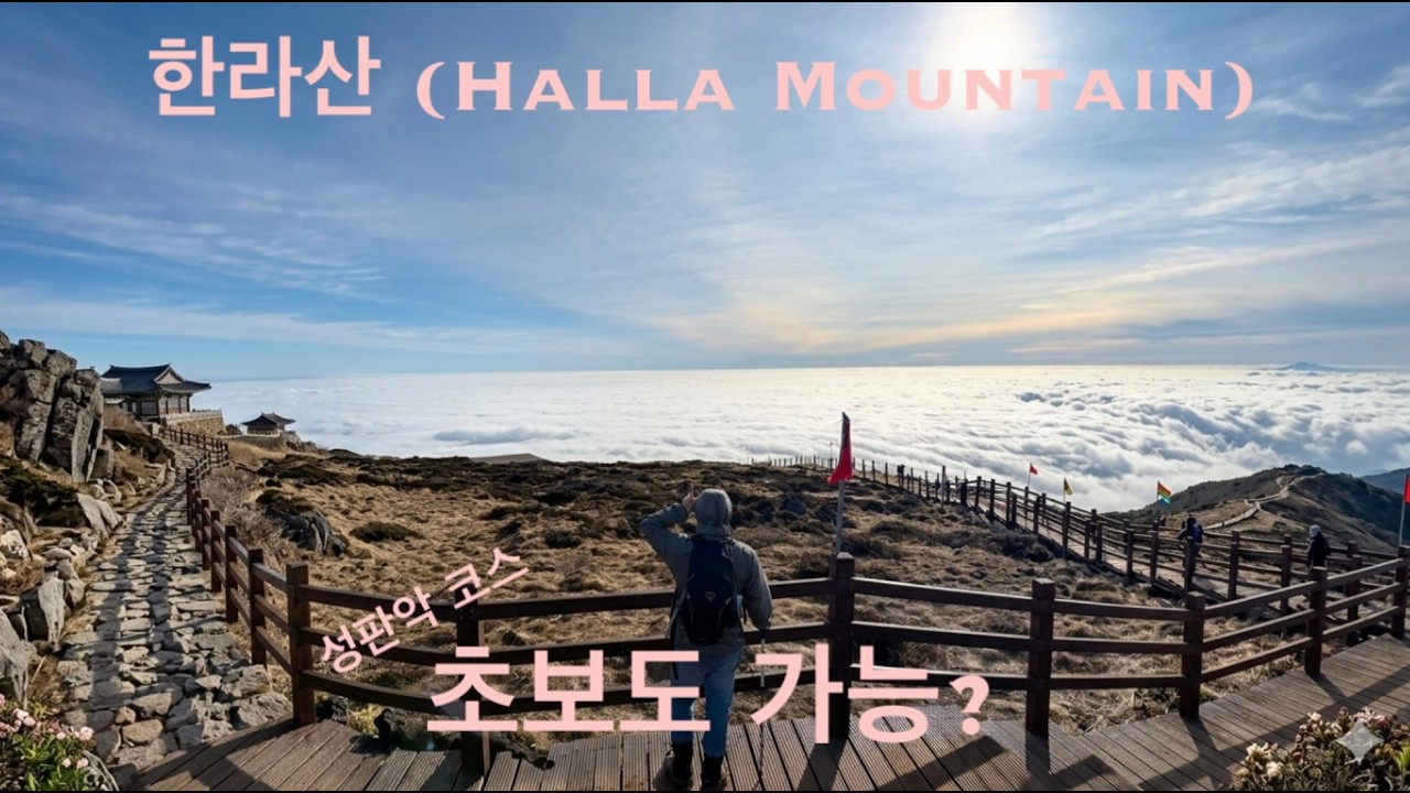 초보도 가능할까? 한라산 등반 코스 직접 올라가봤습니다