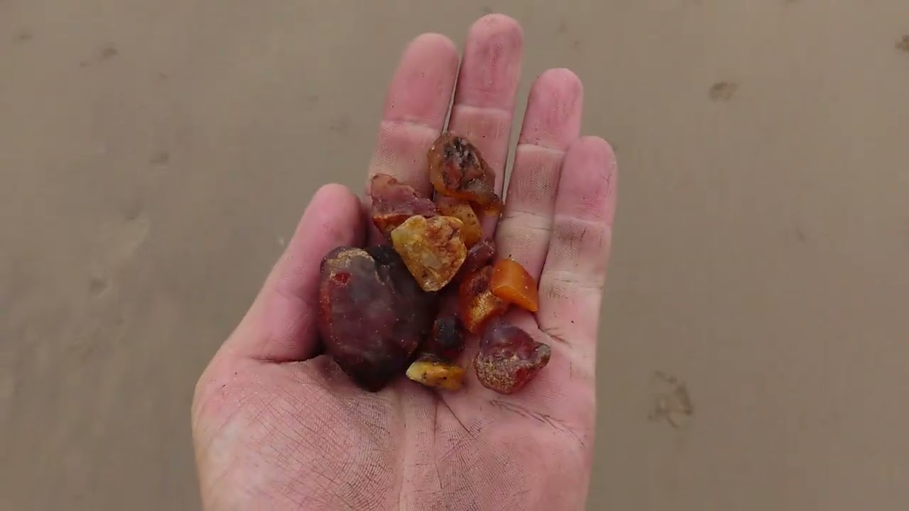 Bernsteinsuche am Elbstrand mit Quarzkopf