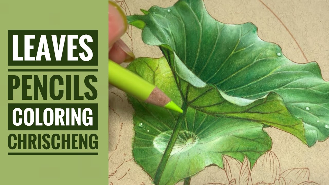 LOTUS LEAVES Pencils Coloring | Part 1 - From 