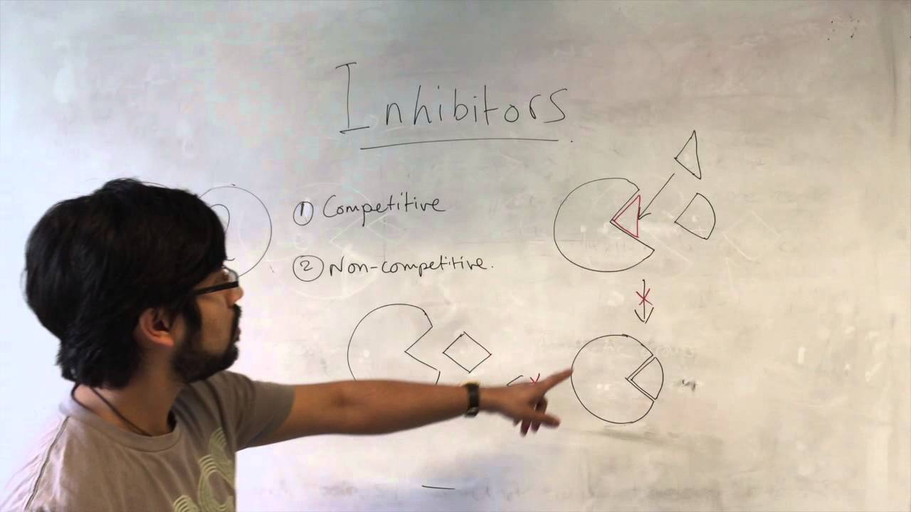 Enzymes: Cofactors and Inhibitors