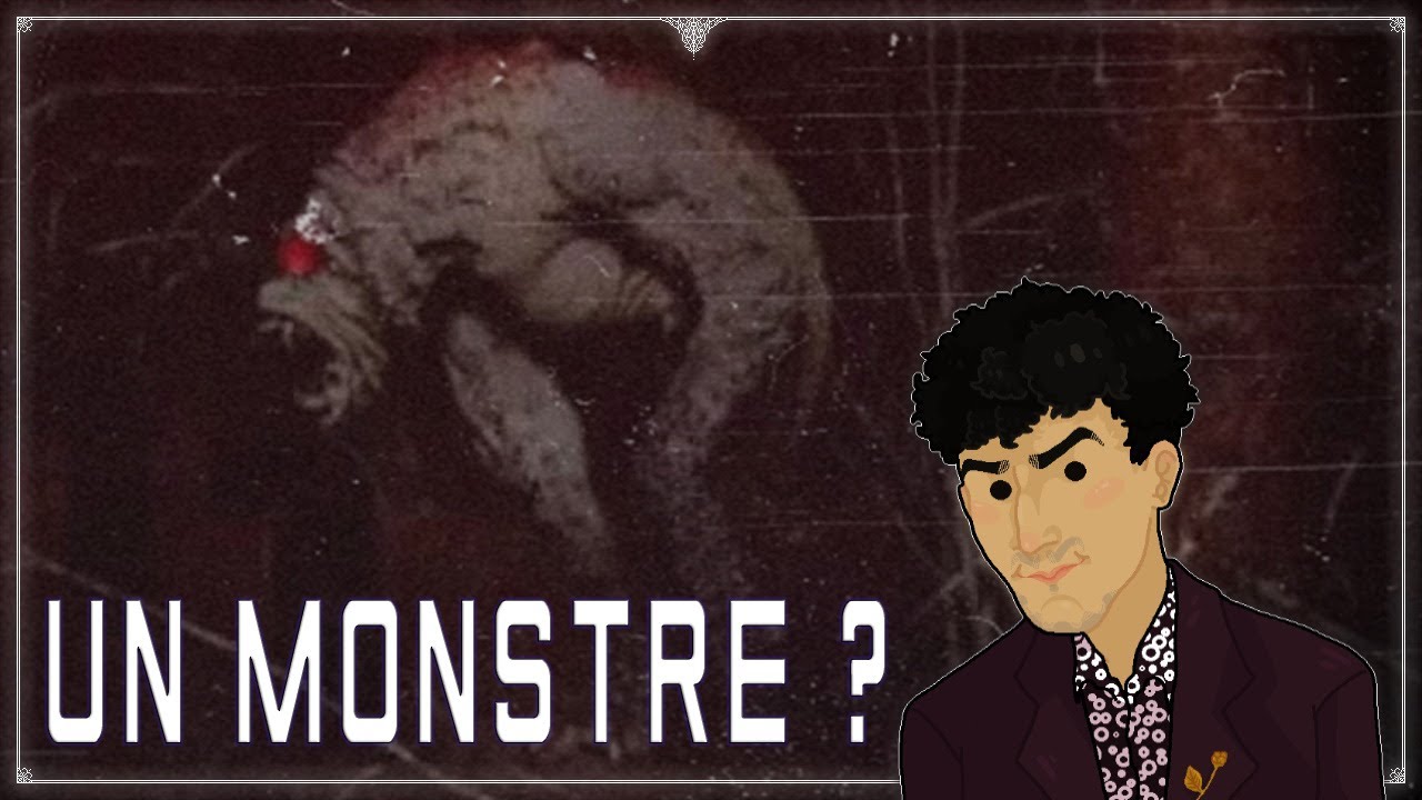 Ils chassent une cr&eacute;ature monstrueuse : l'horreur d'Enfield