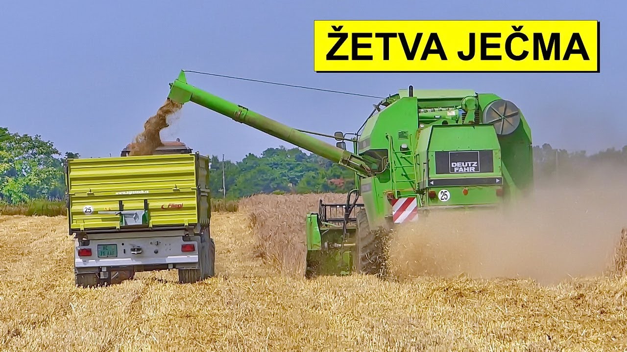 Žetva ječma  2023 u Mačvi DEUTZ FAHR