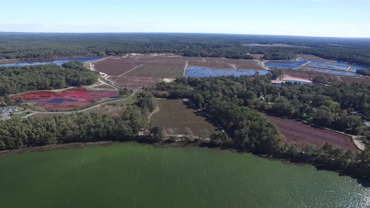King Richard's Faire and Cranberry Bogs, Drone Footage (Full Flight)
