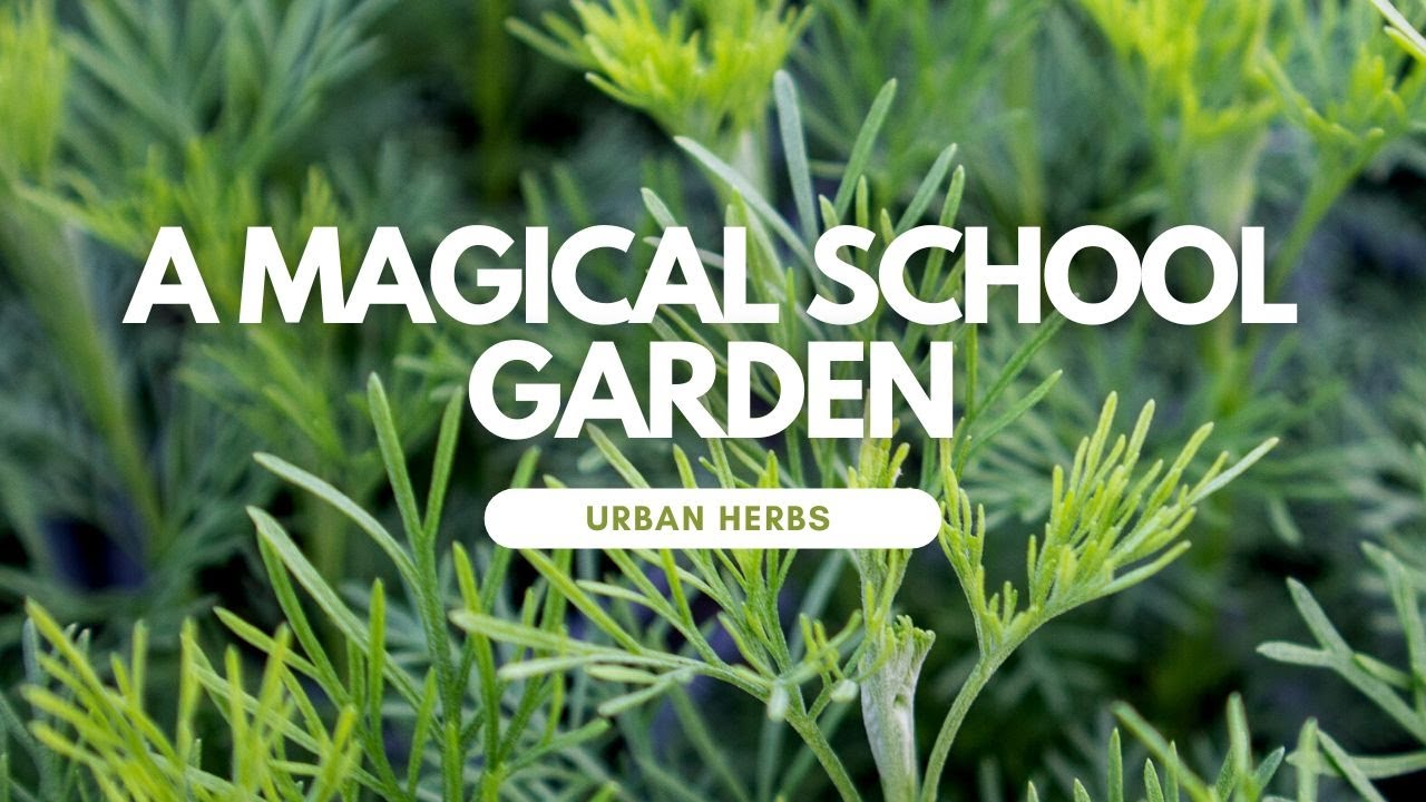 A truly magical school garden.