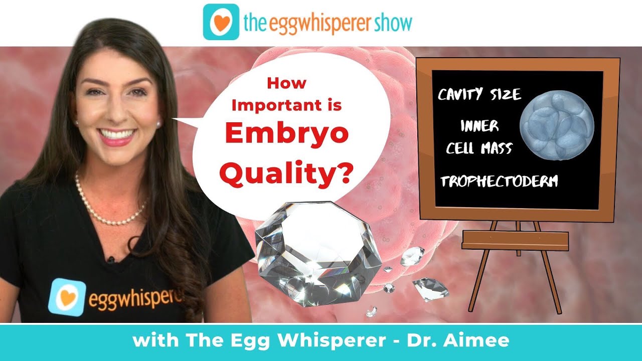How important is Embryo Quality?