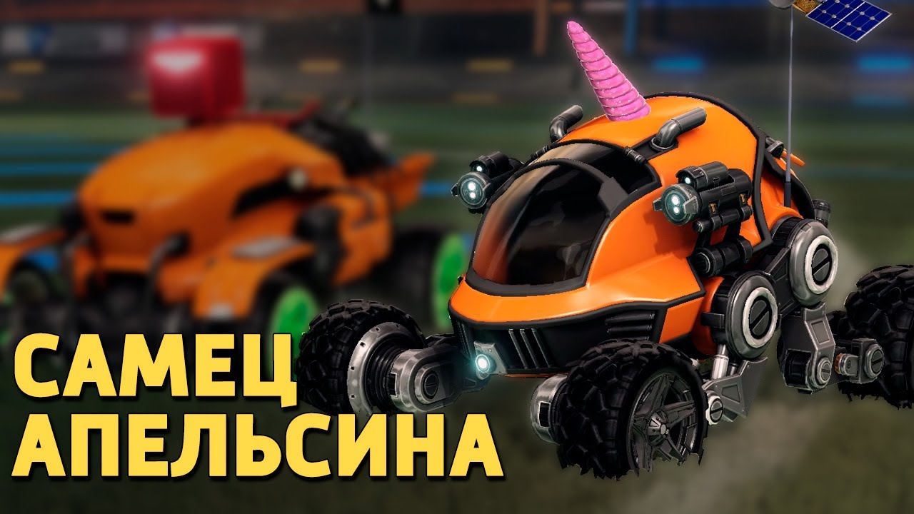 Самец апельсина /Rocket League