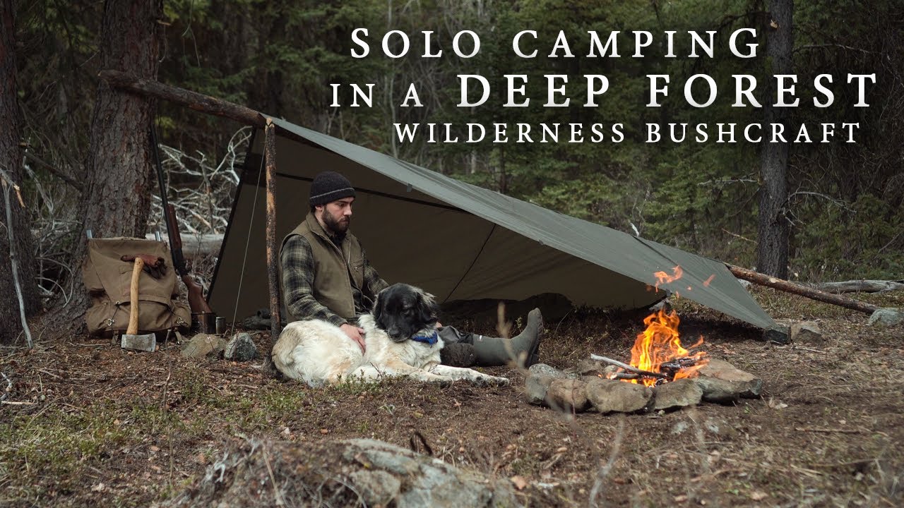 Solo Camping in the Wilderness - Deep Forest Bushcraft, Tarp Shelter, Camp Cooking, etc