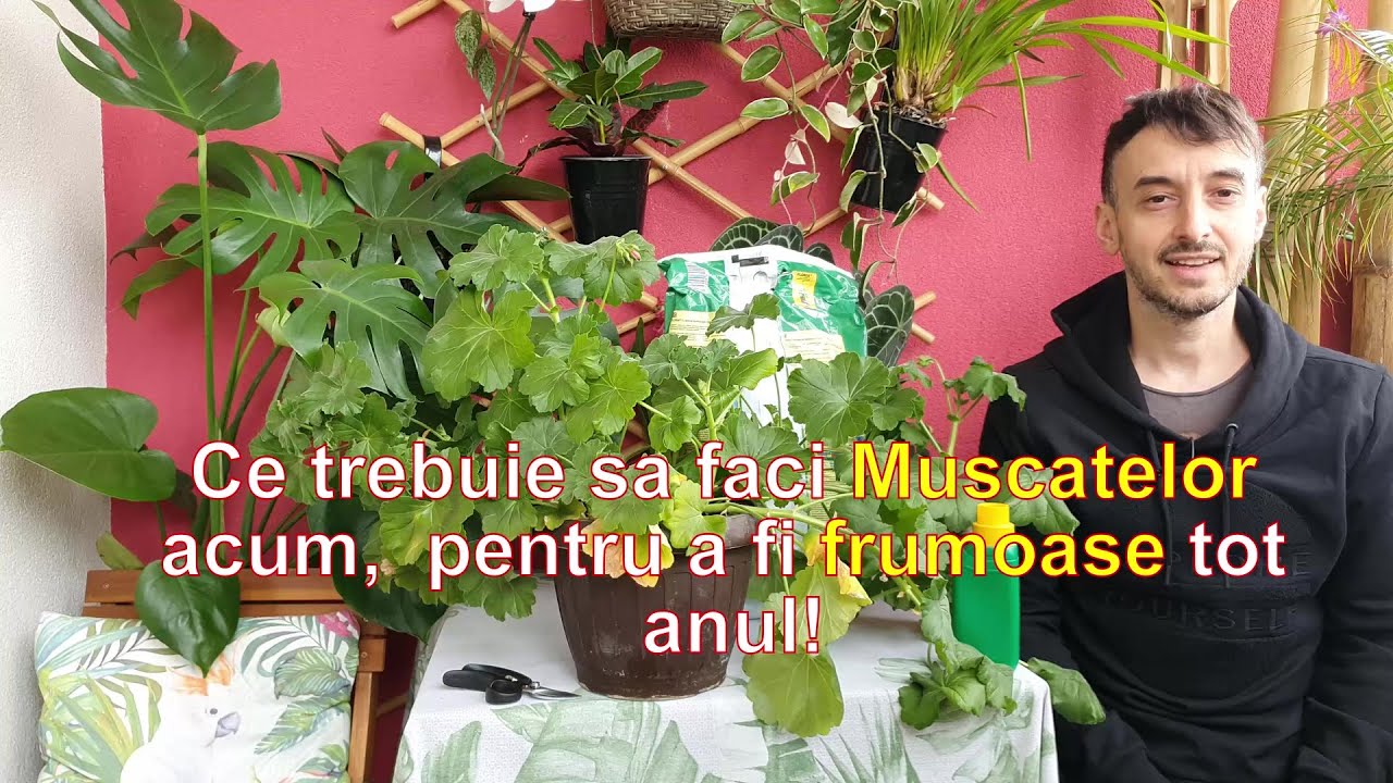 Primavara trebuie sa faci asta la Muscate!