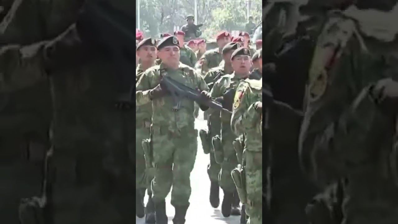 Brigada de Fusileros Paracaidistas, M&eacute;xico