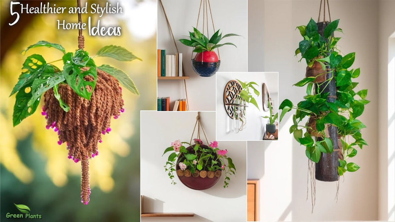 5 Beautiful Indoor Plants Ideas You Must Try If You Want a Healthier and Stylish Home//GREEN PLANTS