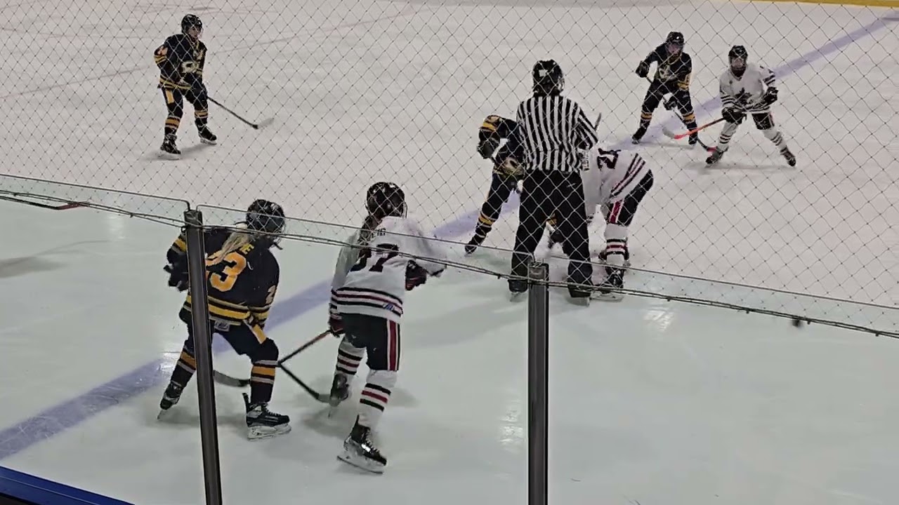 Vs. Carleton Place Cyclones (Playdowns Game) 02/21/2026 (4K, 2nd Period) 