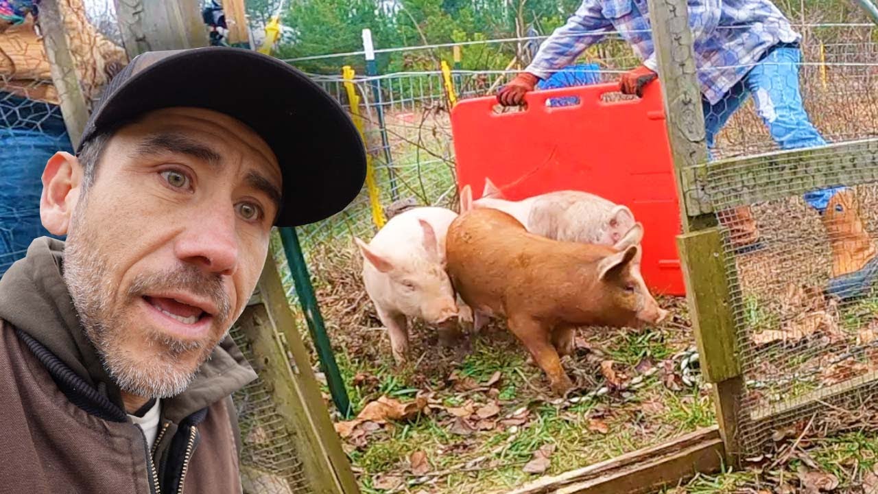 I Don't Trust NO Pig