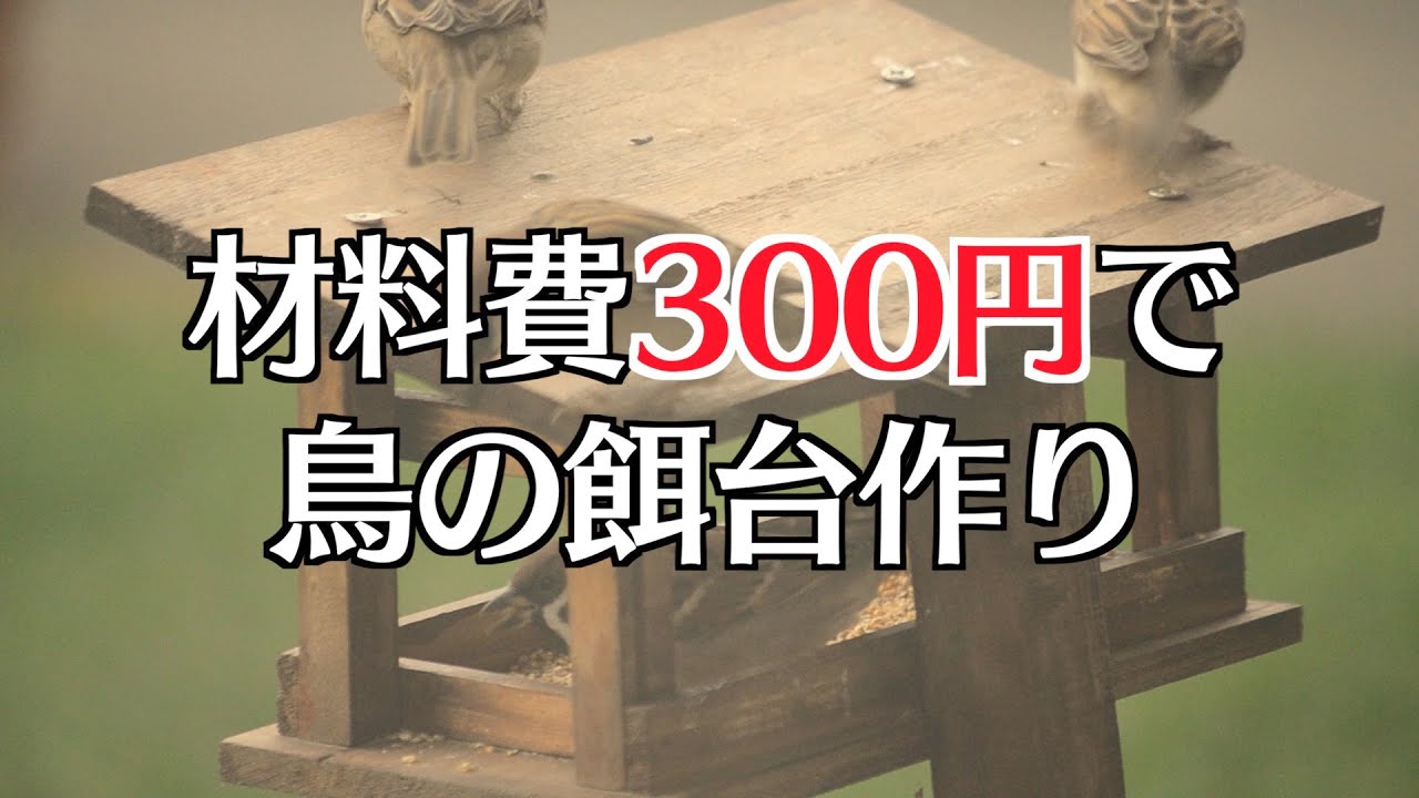 DIY🔨 材料費300円で鳥の餌台（バードフィーダー）作り🐤