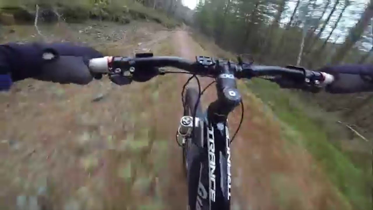 mountain biking brechfa blue and a bit of green trail