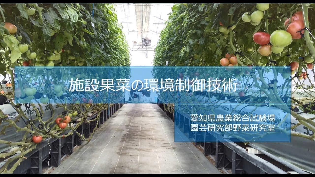 【野菜研究室】 施設果菜の環境制御技術
