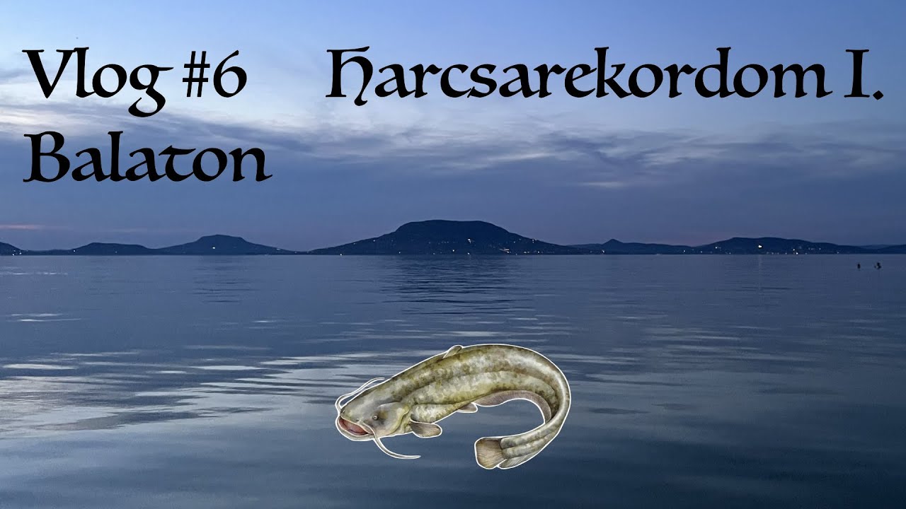 Harcsarekordom I. - Vlog #6