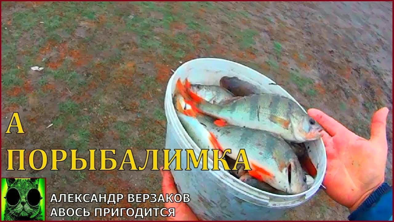 Окунь на живца.