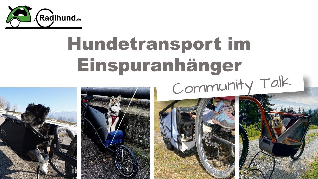 Radfahren mit Hund im Einspuranhänger