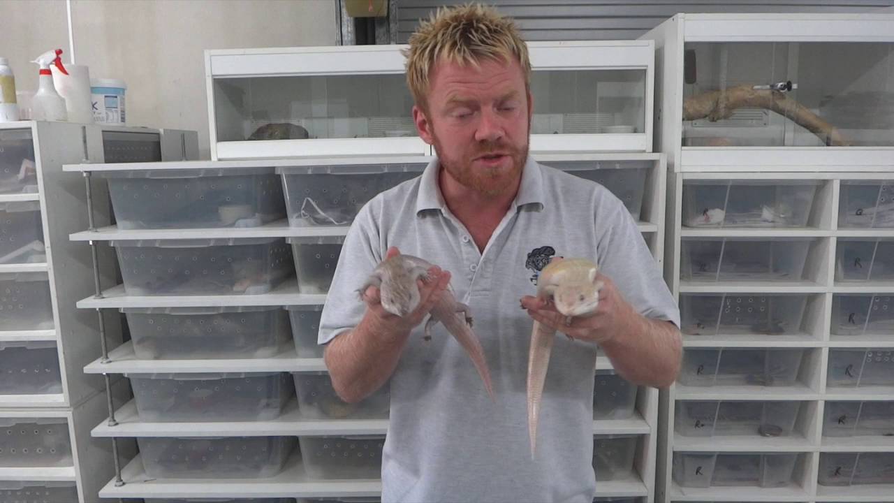Genetics Masterclass #7 - Next level pairings with Joe Ball and Dr Steve