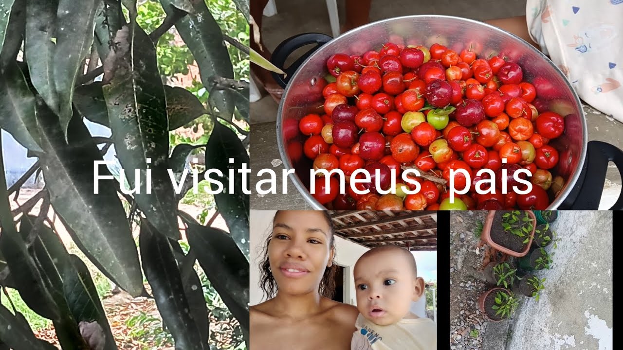 Volg de hoje fui visitar meus pais passar alguns dias FOI MUITO LEGAL/Mostrei as plantas do meu pai 