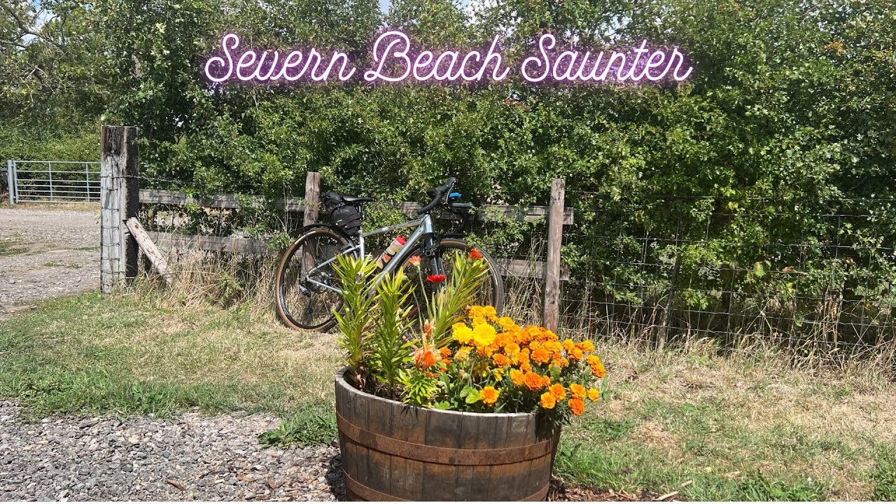 Severn Beach Saunter