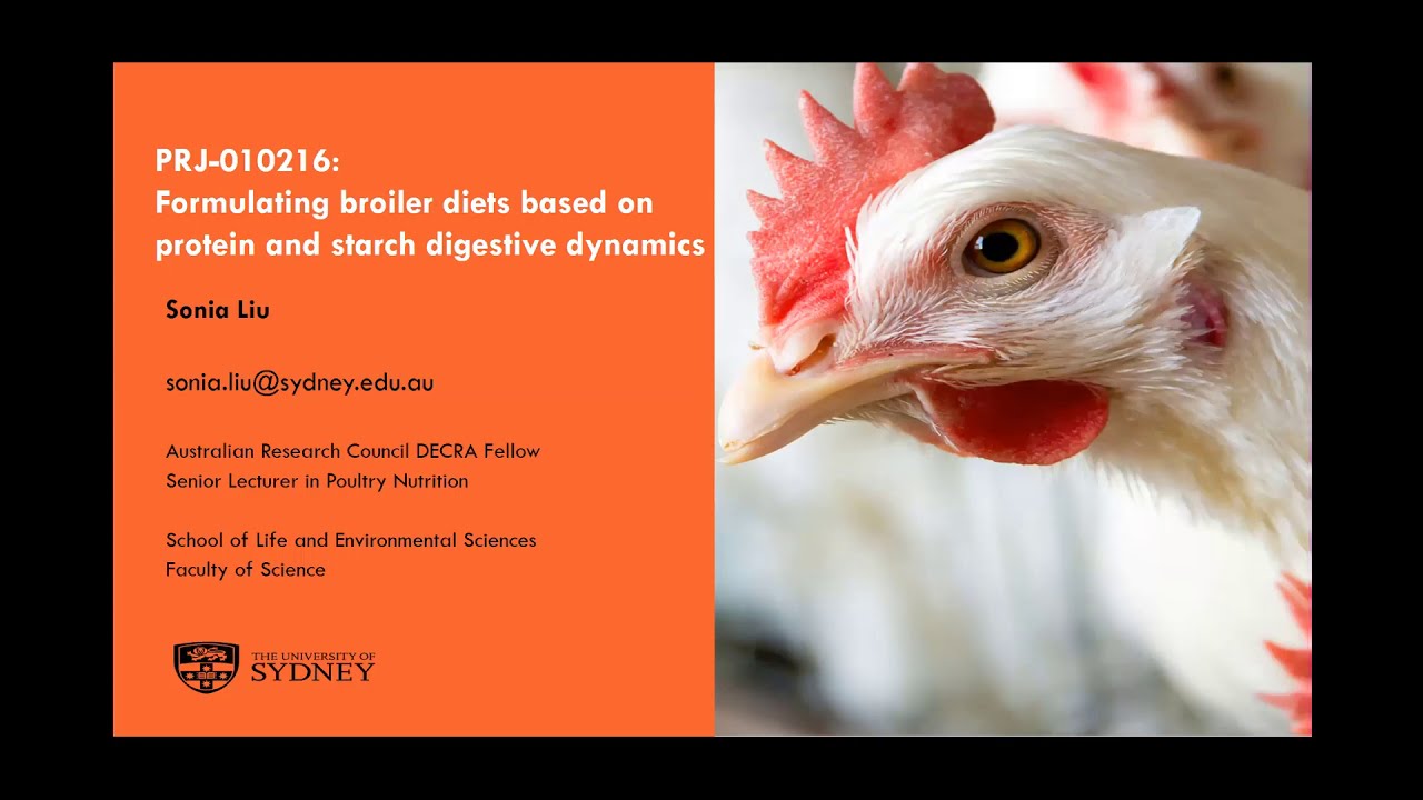 Formulating broiler diets based on protein and starch digestive dynamics