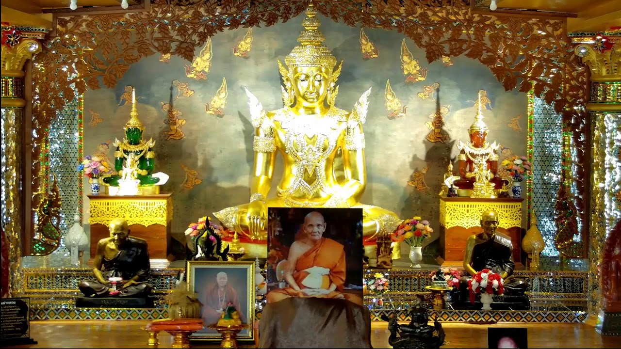 วันที่ 9  กุมภาพันธ์   2569 ร่วมรับฟังหลวงตาม้าบรรยายธรรม  19.30-21.00 น.