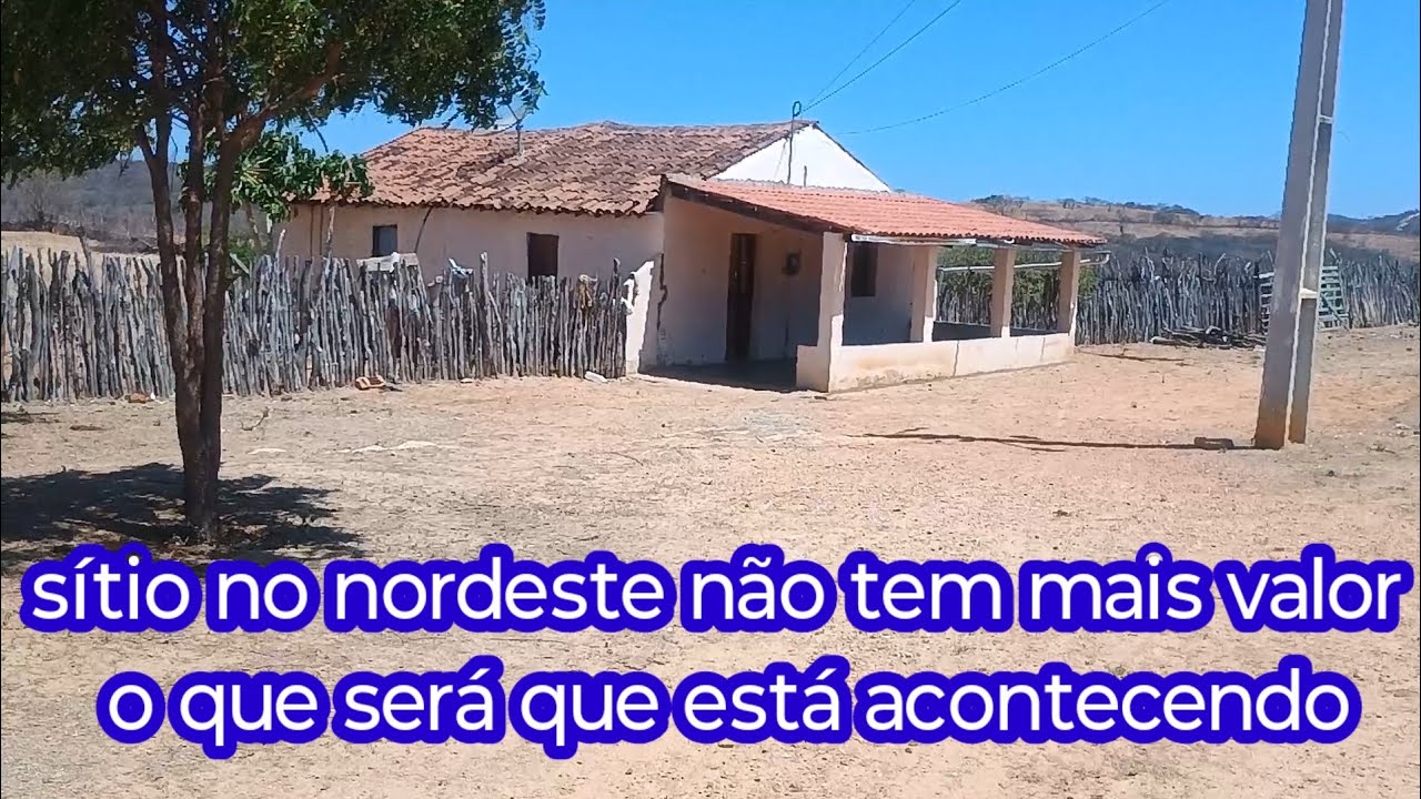 S&iacute;tios no nordeste est&atilde;o sendo vendido a pre&ccedil;o de banana o que est&aacute; acontecendo