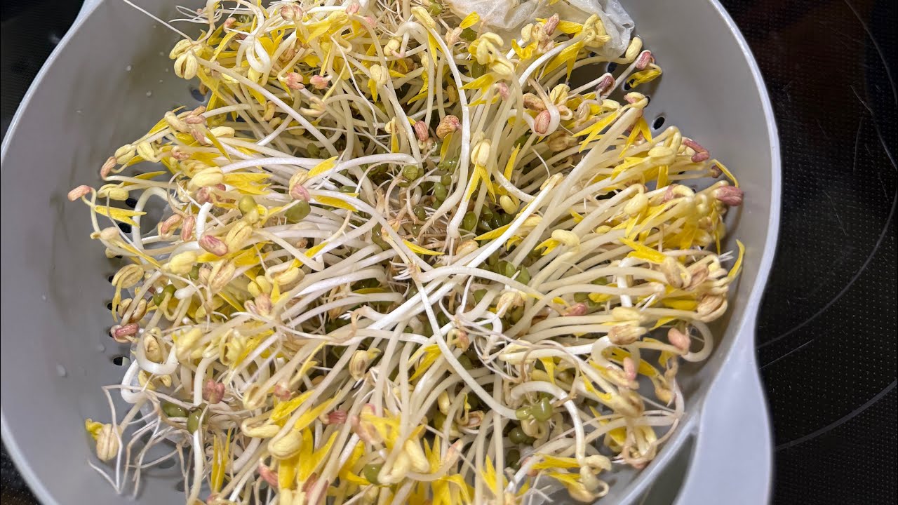 OVEN BEAN SPROUTS🌱🤷🏻‍♀️#oven #beansprouts #sproutingseeds #organic #yum #shortvideo #fypシ #virals 