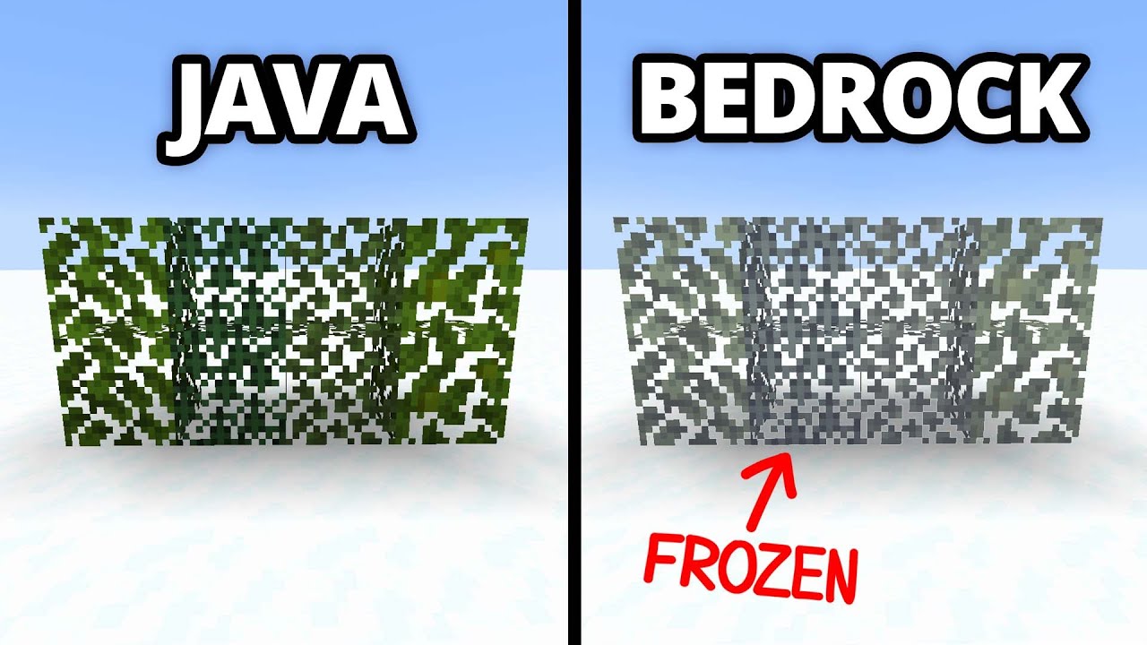 java vs bedrock v3